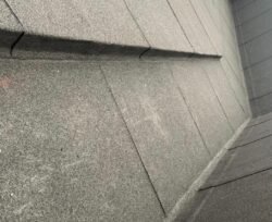 3662804001